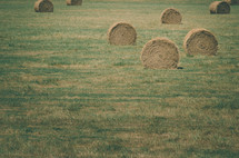 Round hay bales in a green field.