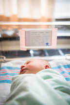 A newborn baby lying in a hospital bassinet.