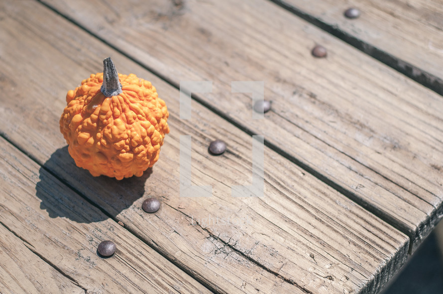 Small bumpy pumpkin on a table