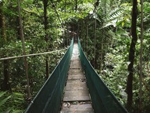 swinging bridge 