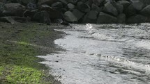 water lapping onto a shore 