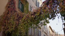 Street Buildings Of Roma Italy