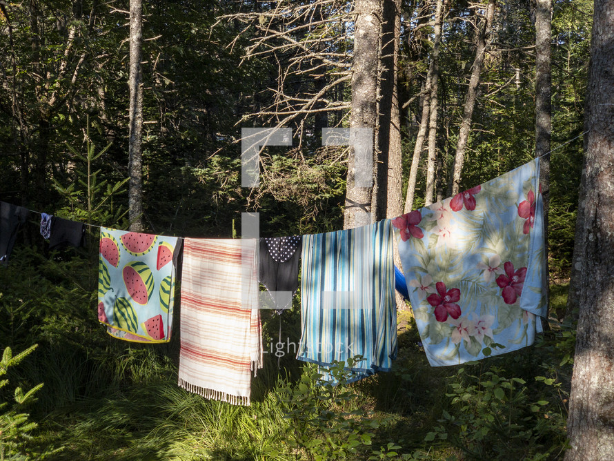 towels on a clothesline in a forest 