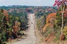 Logging road, "Golden Road" in northern Maine, Autumn