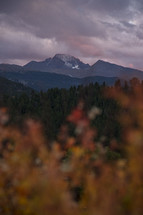 mountain peak and fall foliage 