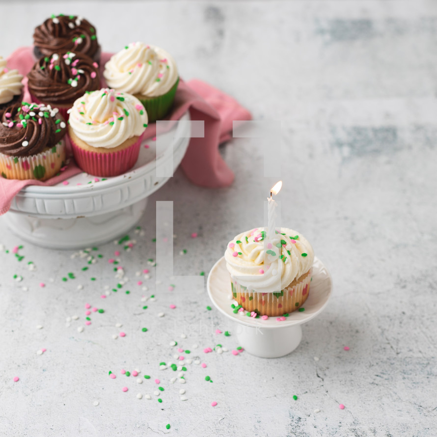 sprinkled cupcakes 