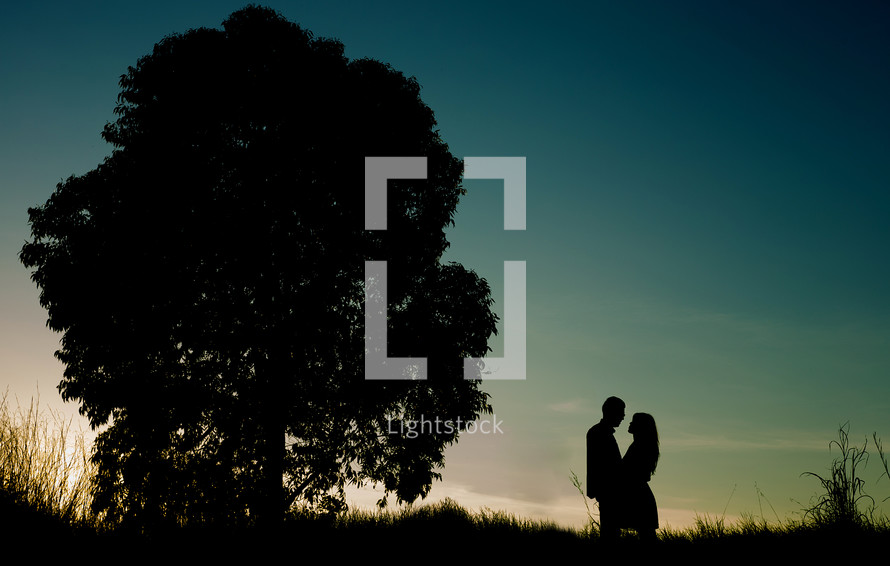 silhouette of a couple at dusk embracing next to a tree 