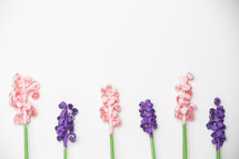 pink and purple flowers on a white background 