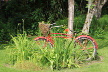 vintage red bicycle 