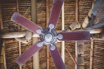 fishing net and fan in a seafood restaurant 