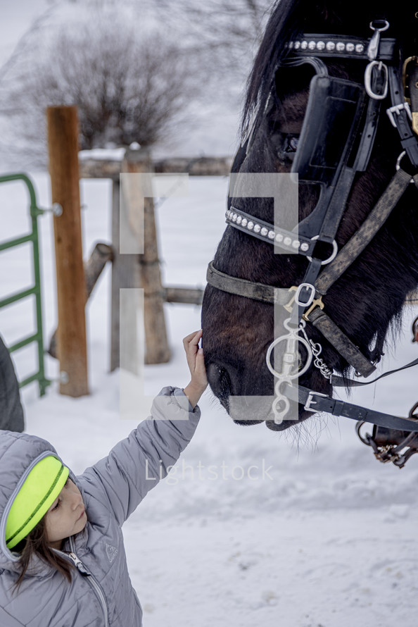 a child petting a horse in snow 