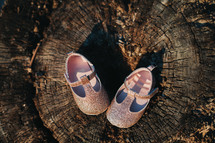 baby girl shoes on a stump 