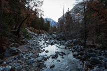 Rocky stream with trees and snowy mountains