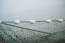 casting net over water 