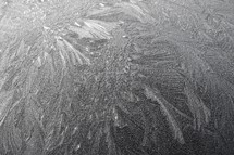 Frost with feather like patterns 