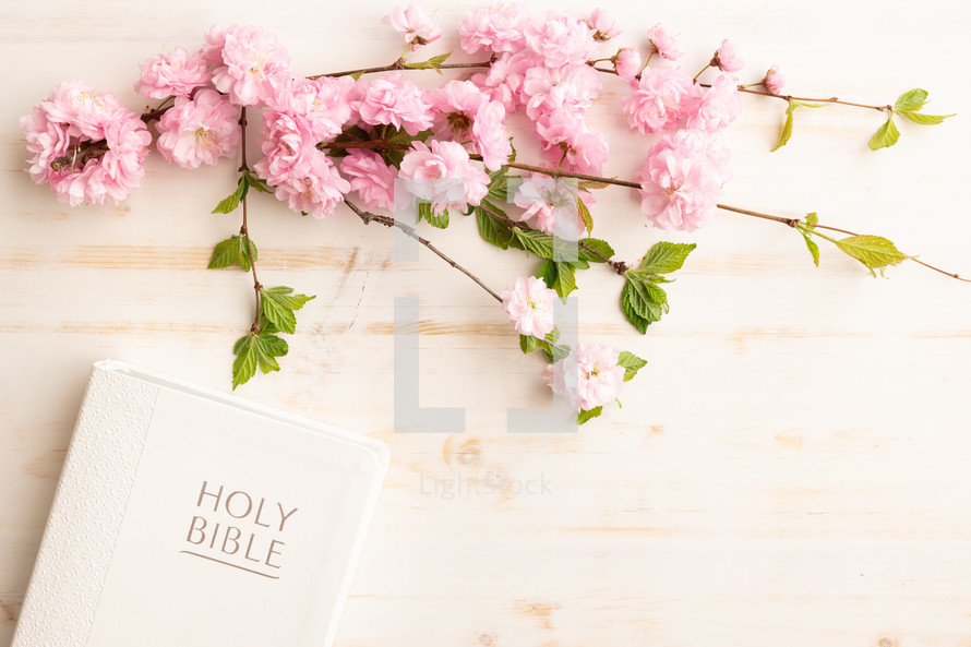Closed bible and pink flowers on a white background with copy space