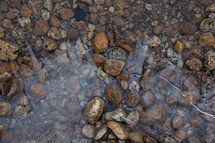 Freezing water on pebbles