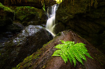 waterfall flowing over mossy rocks 