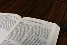 Scripture Titles - Zechariah