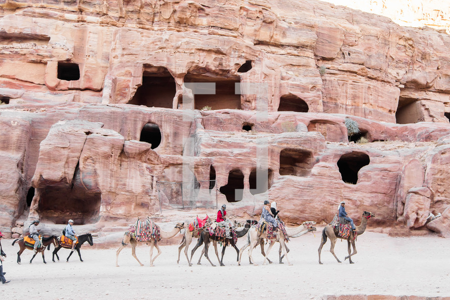 homes carved into red rock cliffs and camels 