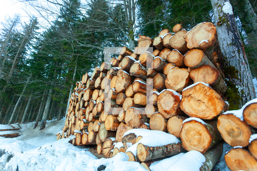 Logs of wood cut and stacked in the mountains under the snow.