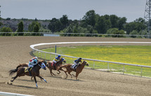 horses running on a track 