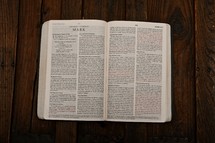 Scripture Titles - Mark