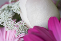 closeup of a bouquet of flowers 