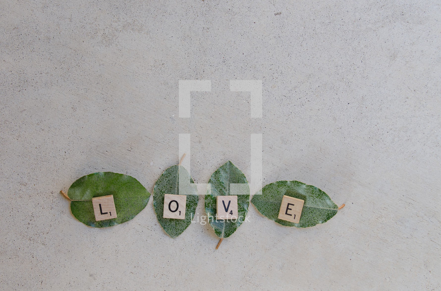 love spelled out on green leaves in scrabble letters