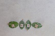 love spelled out on green leaves in scrabble letters