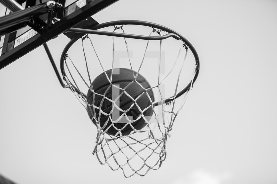 basketball in the net 