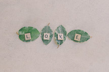 Scrabble letters spell out "love" on leaves.