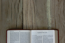 Bible opened to Leviticus 