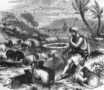 Jacob with Laban's sheep