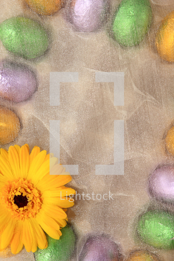 colored foil eggs and bright spring flower create border for a background