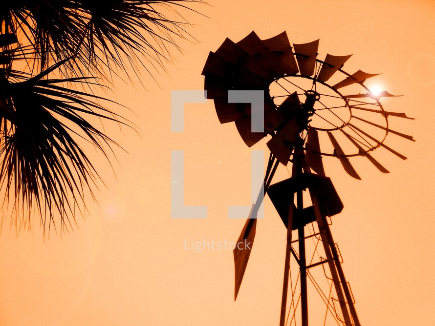 silhouette of a windmill and palm fronds at sunset against an orange sky at sunset. 