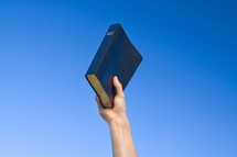 hand holding a Bible in the air