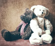 teddy bears 