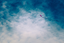 Red kite in the sky.