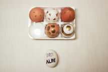 decorated Easter eggs in a carton 