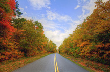 road and colorful fall trees 