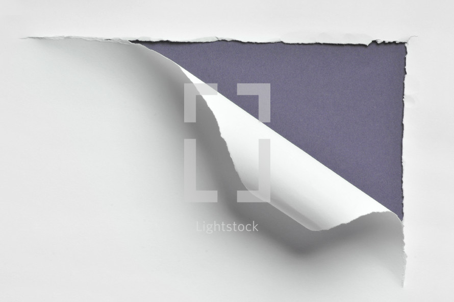 ripped paper purple 