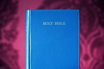 Holy Bible 