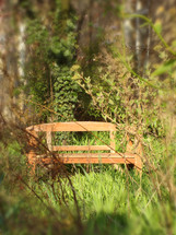 wooden bench sitting in a woody area

