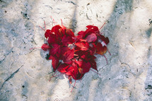 red fall leaves in the shape of a heart on rock 