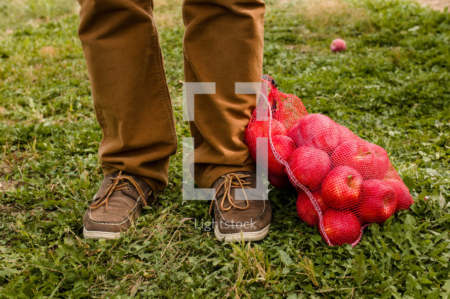 man standing with a sack of apples 