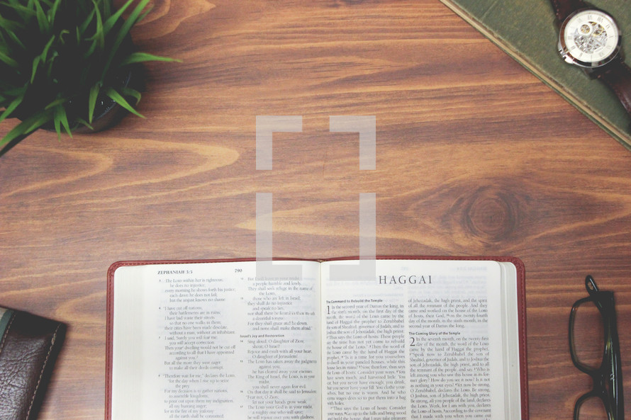 open Bible and reading glasses on a wood table - Haggai 