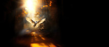 Winged dove in flames with copy space, a representation of the New Testament Holy Spirit