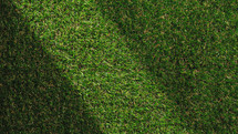 Grass background with shadows