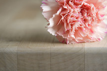 Carnation flower on a butcher block table.